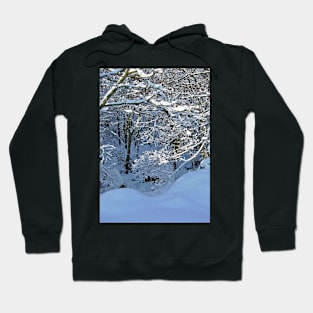 Snow in the Forest Hoodie